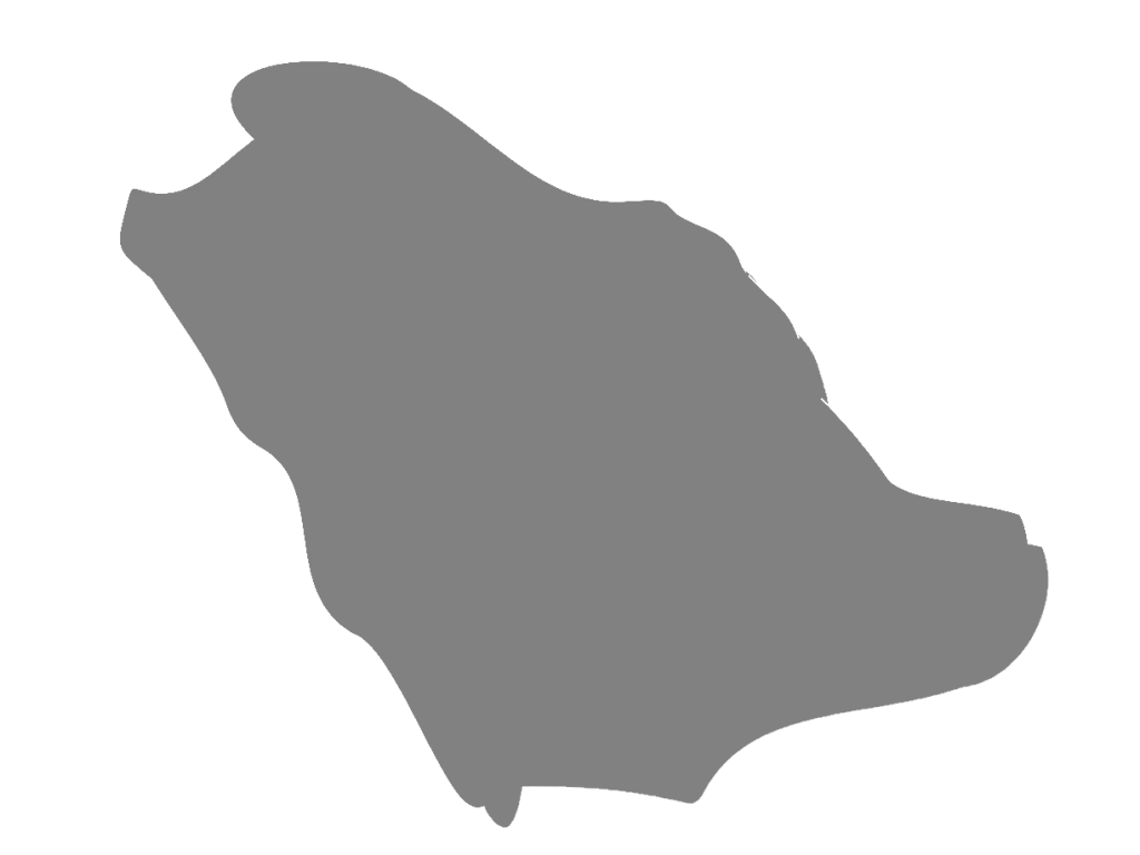 Saudi Arabia 8 Saudi Arabia